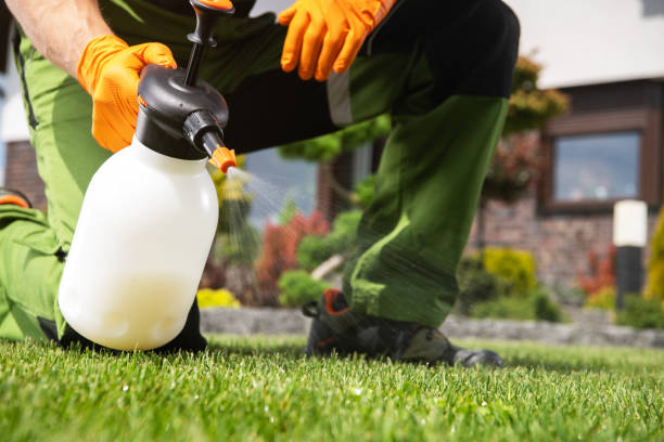 Best Mosquito Control Services  in Natchez, MS