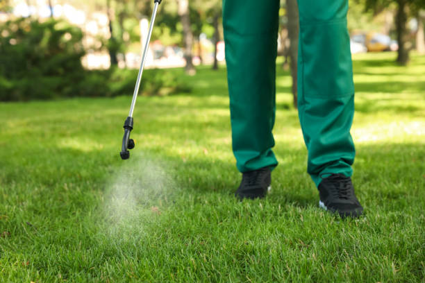 Best Insect Control  in Natchez, MS