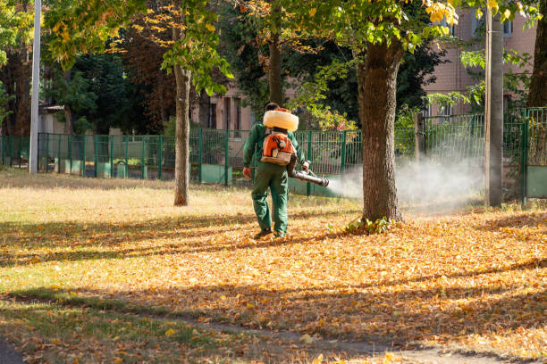 Best Local Pest Control Services  in Natchez, MS